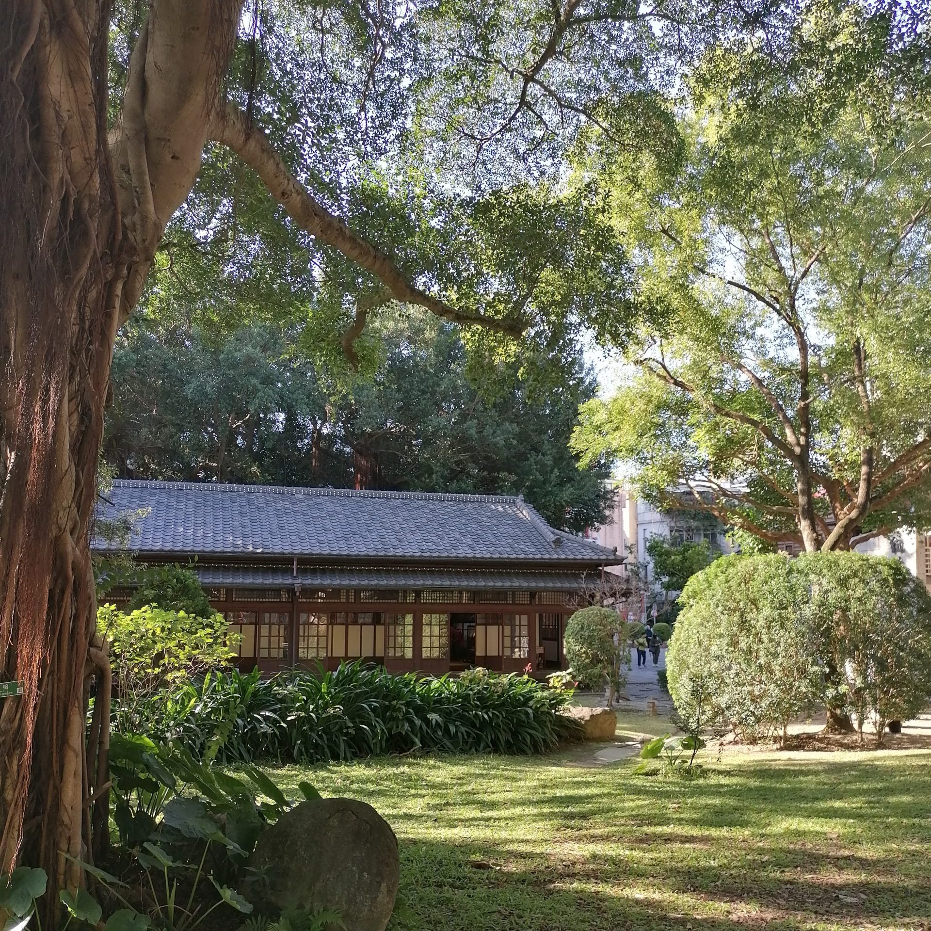 Kishu An- Wald der Literatur